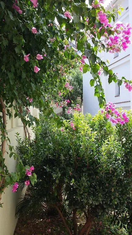 Apartment Apartaments Josep Pla Roses